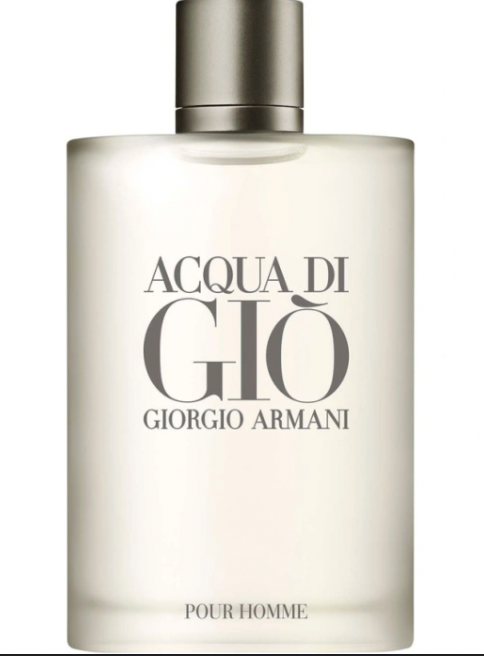 Girogio Armani Acqua Di Gio 100ml