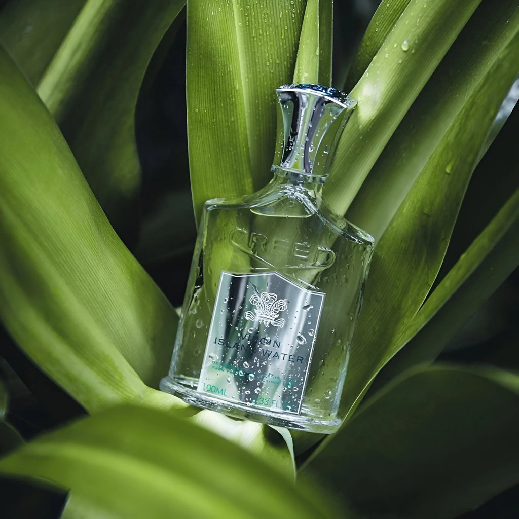 Creed Virgin Island Water 100ml