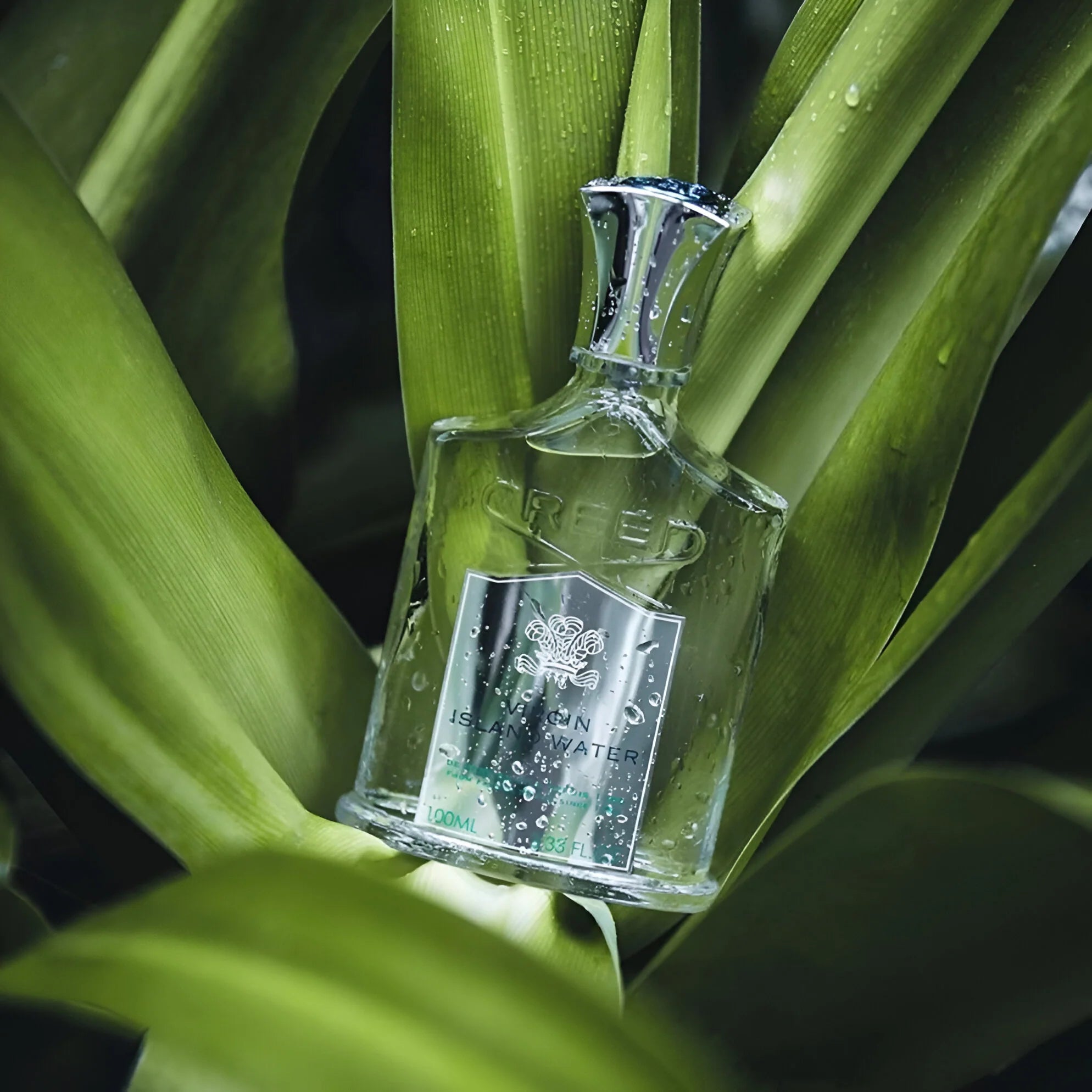 Creed Virgin Island Water 100ml