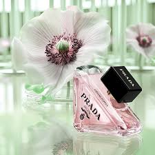 Prada Paradox 90ml