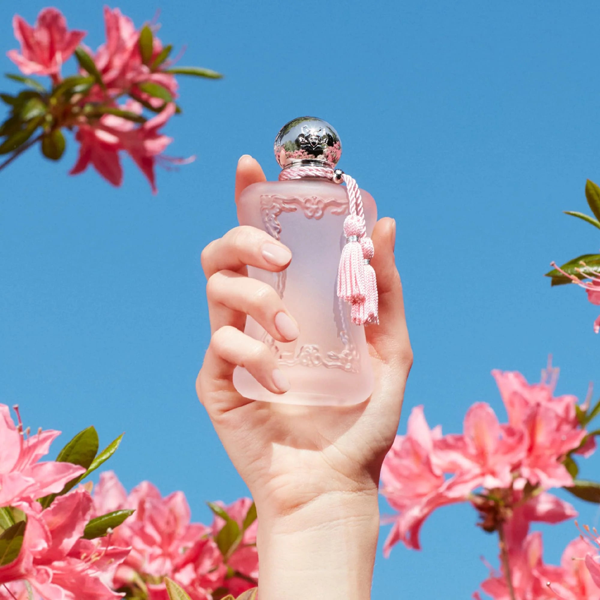 Delina Parfums De Marly 75ml